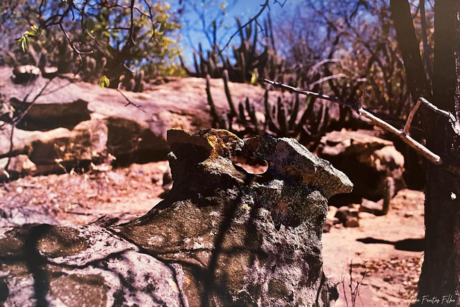 Atacama da Caatinga X